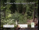fotogramma del video La filiera foresta legno in Friuli Venezia ...